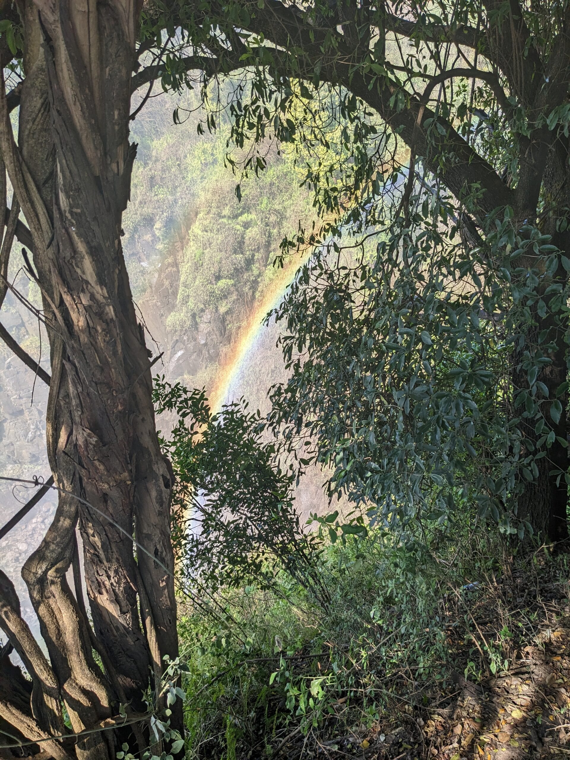 vic_falls_rainbow.jpg
