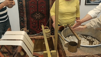 silkspin.gif
