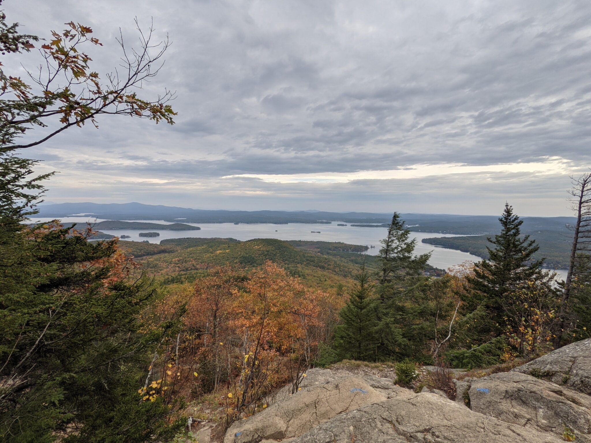 mt-major-1.jpg