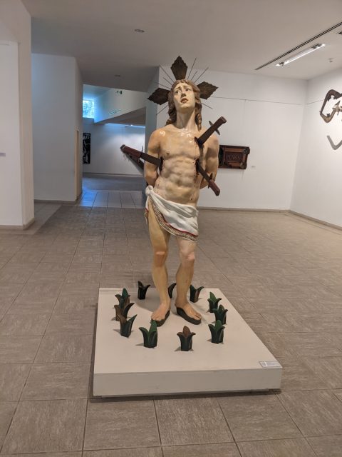 PXL_20221117_152534281.MP