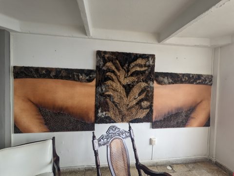 PXL_20221119_163536872.MP