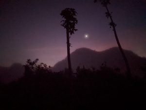 PXL_20221121_111207788.MP