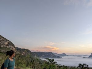 PXL_20221121_114752604